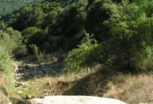 Rancho Oso Cottage 12 Mission Canyon 外观 照片
